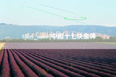 浙江中国十七块金牌