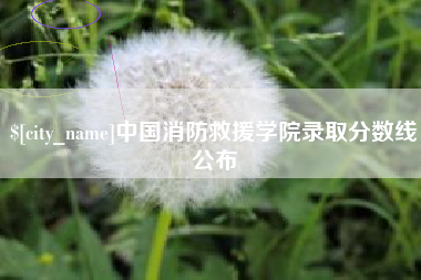 浙江中国消防救援学院录取分数线公布