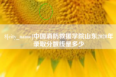 浙江中国消防救援学院山东2020年录取分数线是多少