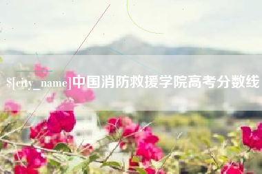浙江中国消防救援学院高考分数线