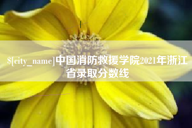 浙江中国消防救援学院2021年浙江省录取分数线