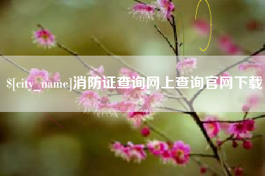 浙江消防证查询网上查询官网下载