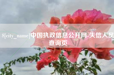 浙江中国执政信息公开网-失信人员查询页