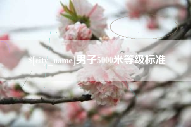 浙江男子5000米等级标准