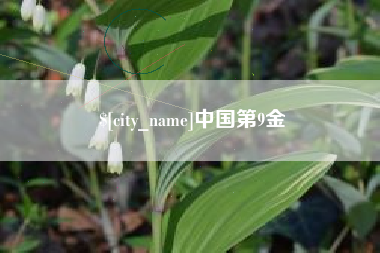浙江中国第9金