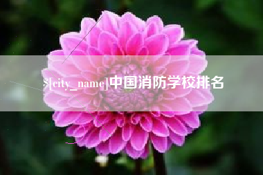 浙江中国消防学校排名