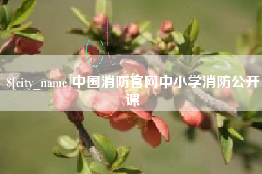 浙江中国消防官网中小学消防公开课