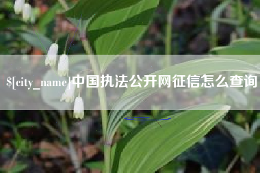 浙江中国执法公开网征信怎么查询
