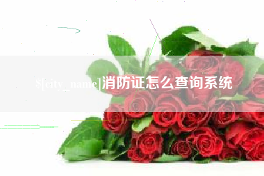 浙江消防证怎么查询系统