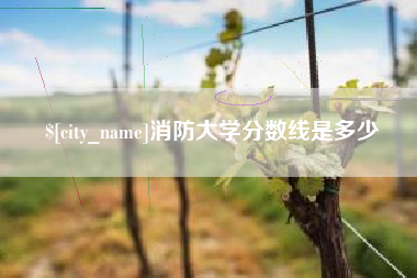 浙江消防大学分数线是多少