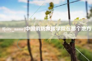 浙江中国消防救援学院在那个地方