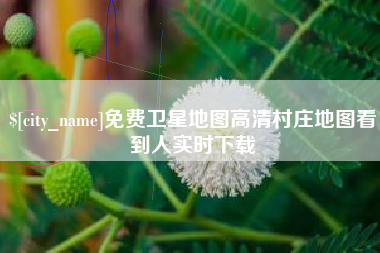 浙江免费卫星地图高清村庄地图看到人实时下载