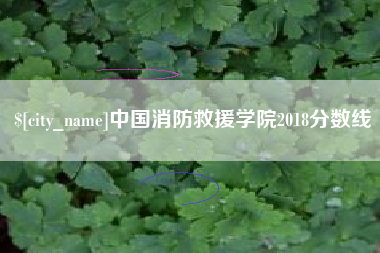 浙江中国消防救援学院2018分数线