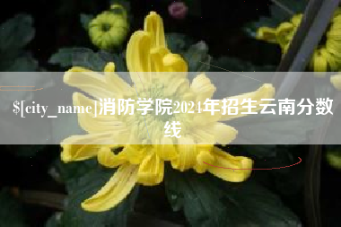 浙江消防学院2024年招生云南分数线