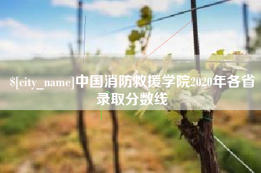 浙江中国消防救援学院2020年各省录取分数线