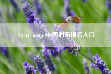 浙江中国消防报名入口
