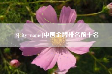 浙江中国金牌排名前十名