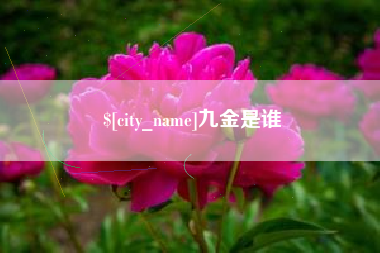 浙江九金是谁