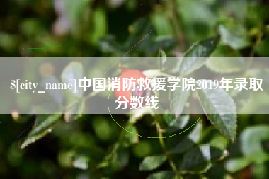 浙江中国消防救援学院2019年录取分数线