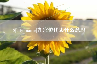 浙江九宫位代表什么意思
