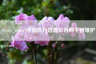 浙江中国执行信息公开网平台维护