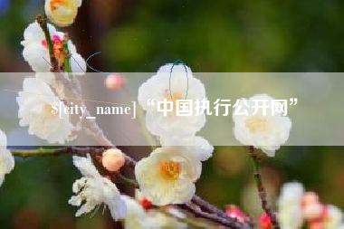 浙江“中国执行公开网”