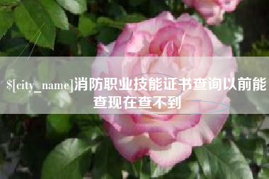 浙江消防职业技能证书查询以前能查现在查不到