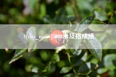 浙江5000米及格成绩