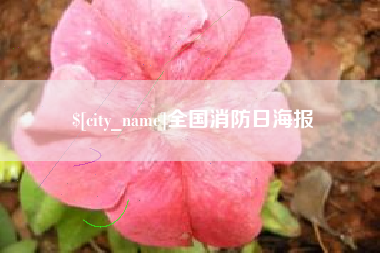 浙江全国消防日海报