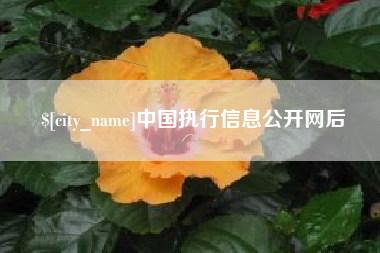 浙江中国执行信息公开网后