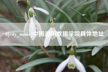 浙江中国消防救援学院具体地址