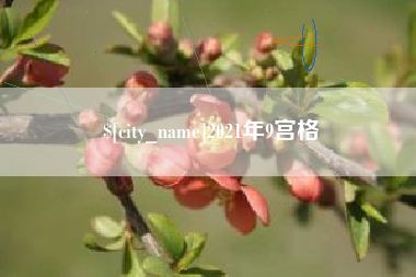 浙江2021年9宫格