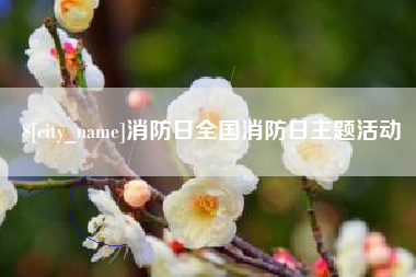 浙江消防日全国消防日主题活动