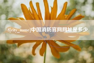 浙江中国消防官网网址是多少