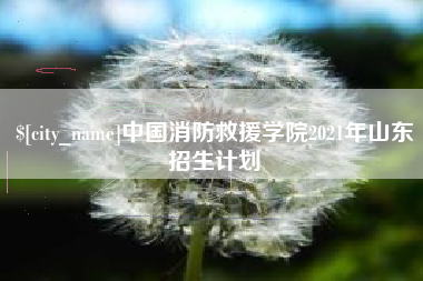 浙江中国消防救援学院2021年山东招生计划