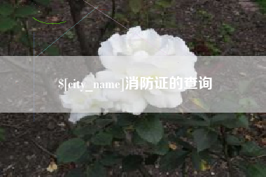 浙江消防证的查询