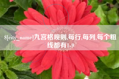 浙江九宫格规则,每行,每列,每个粗线都有1-9