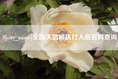 浙江全国失信被执行人员官网查询