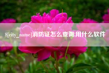 浙江消防证怎么查询,用什么软件