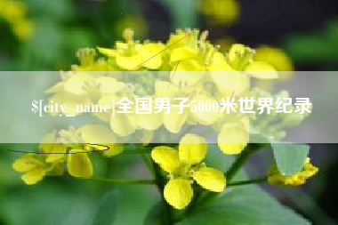 浙江全国男子5000米世界纪录
