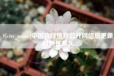浙江中国执行信息公开网信息更新时间是多久