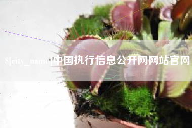 浙江中国执行信息公开网网站官网