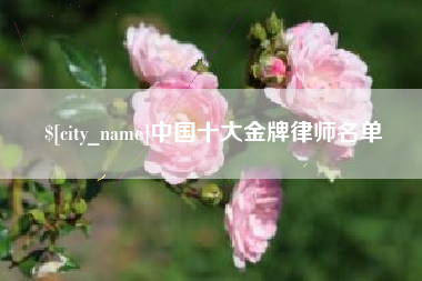 浙江中国十大金牌律师名单