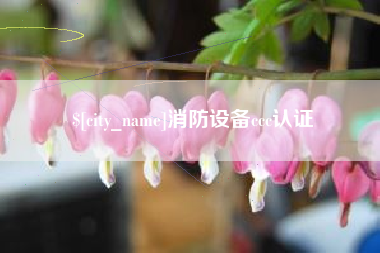 浙江消防设备ccc认证