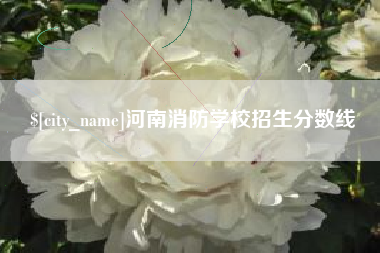 浙江河南消防学校招生分数线