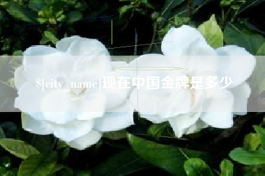 浙江现在中国金牌是多少