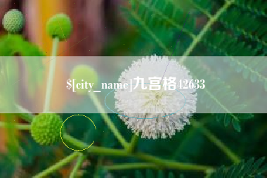 浙江九宫格42633