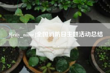 浙江全国消防日主题活动总结