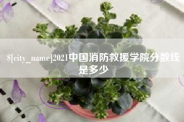 浙江2021中国消防救援学院分数线是多少