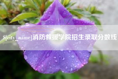 浙江消防救援学院招生录取分数线
